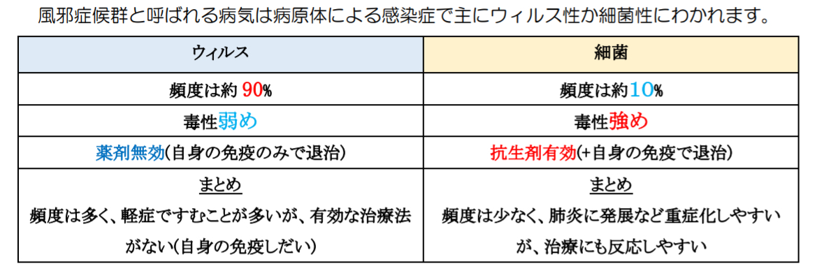 ウィルス細菌性頻度